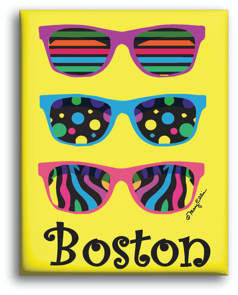 Boston Magnet Sunglasses