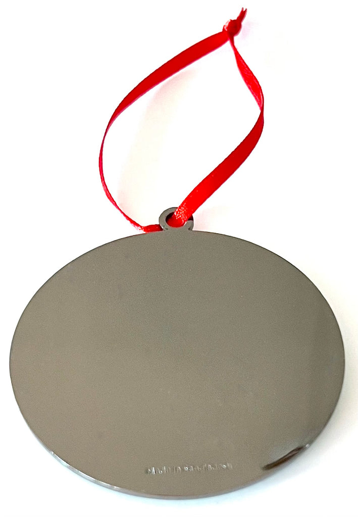 Texas Christmas Ornament Armadillo