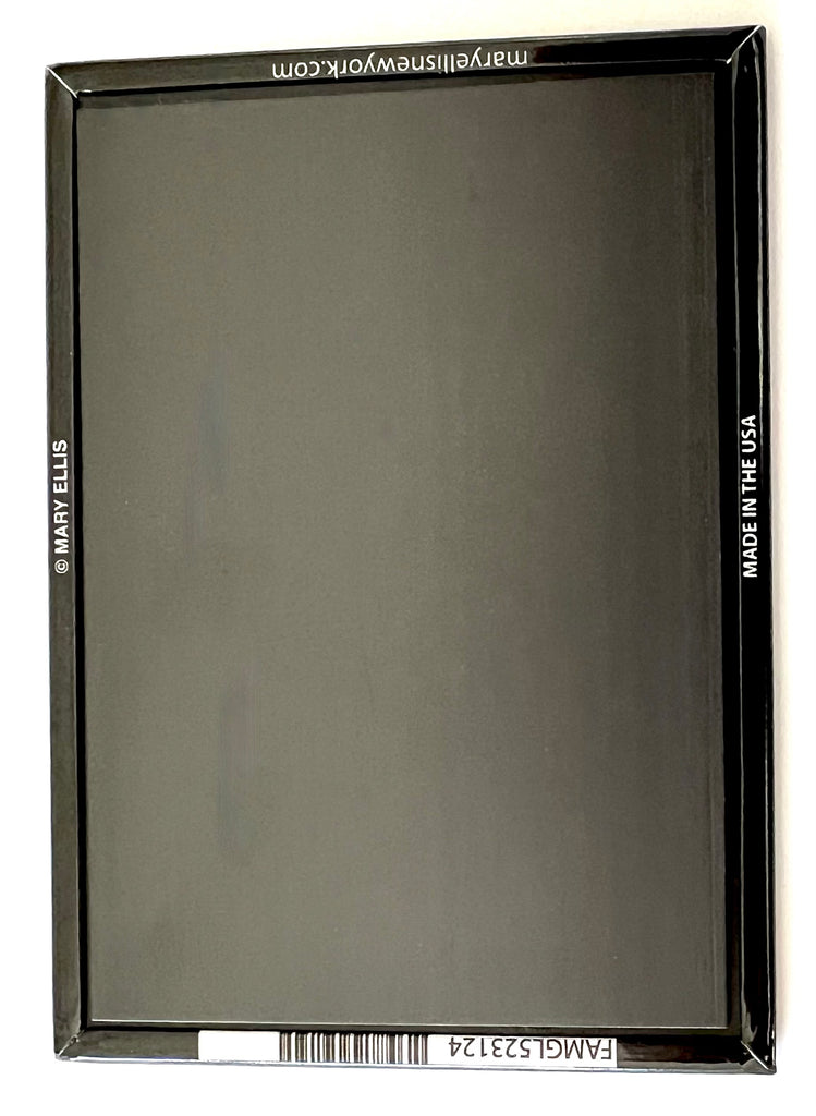 Hilton Head South Carolina Turtle Magnet