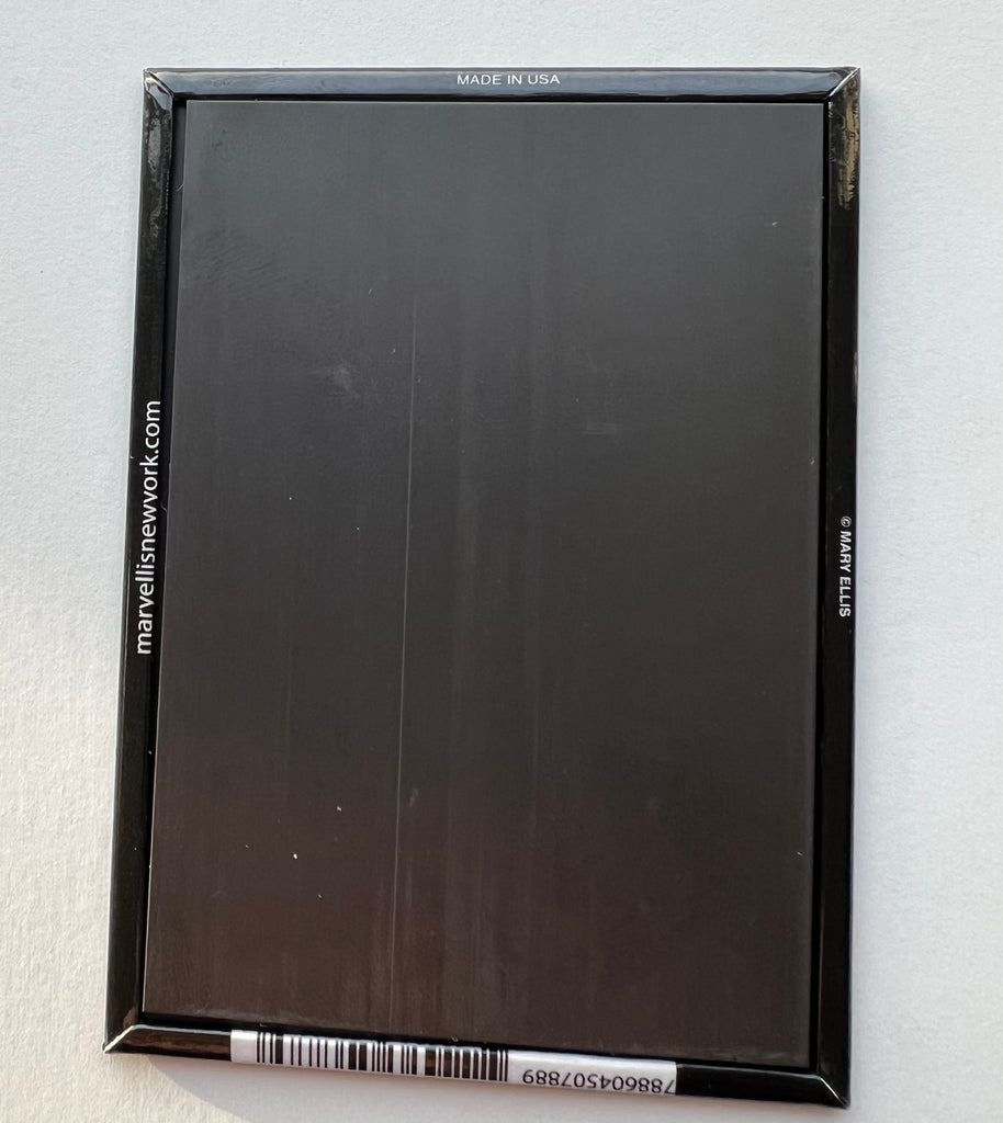 Orlando Florida Magnet Flamingo