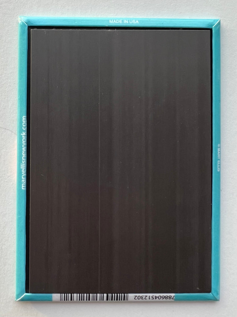 Key West Florida Magnet Conch Shell