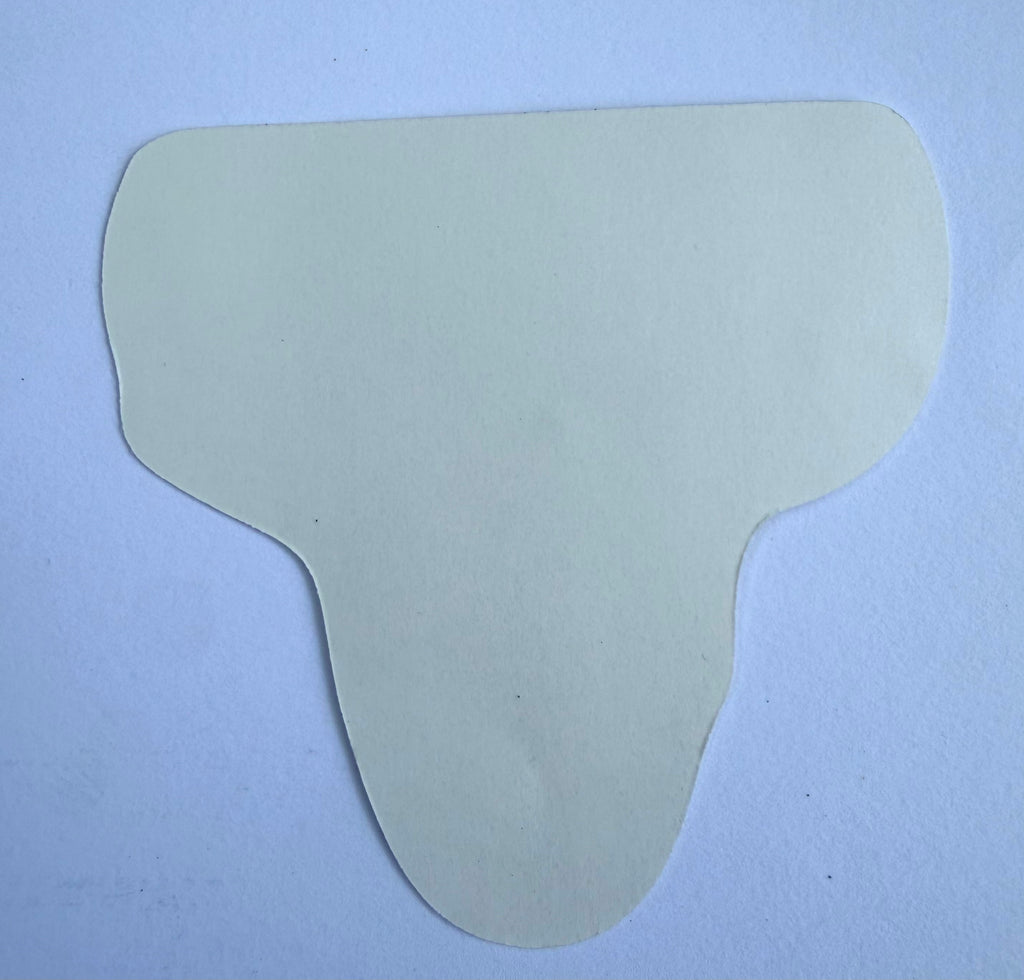 Dallas Texas Longhorn Sticker
