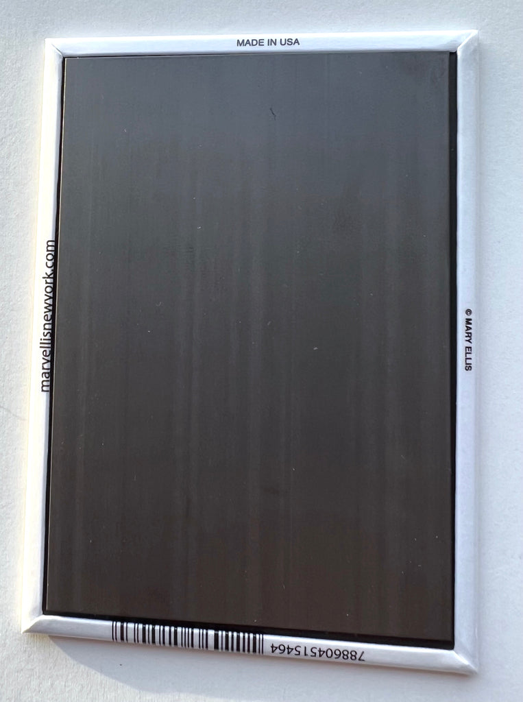 Sea Turtle Custom Zoo Aquarium Magnet