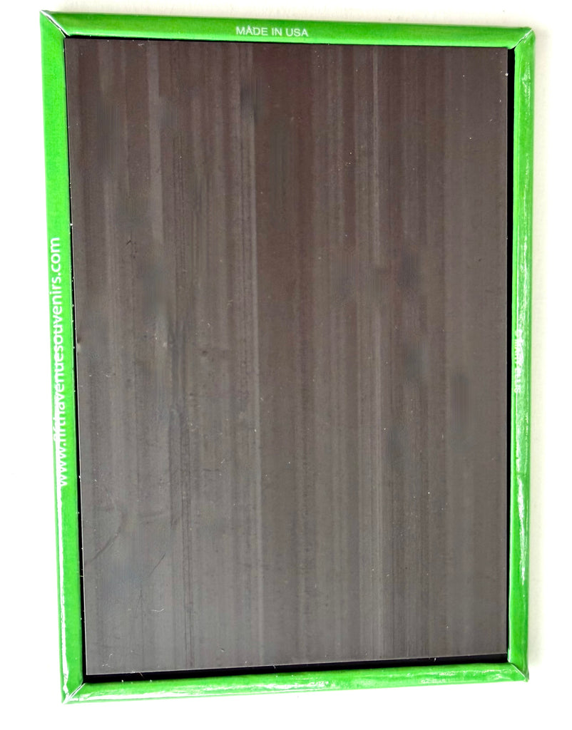 Washington DC Cherry Blossoms Green Magnet