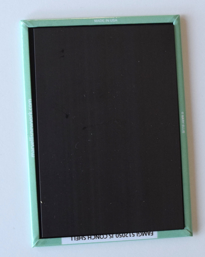 New Jersey Shore Magnet Conch